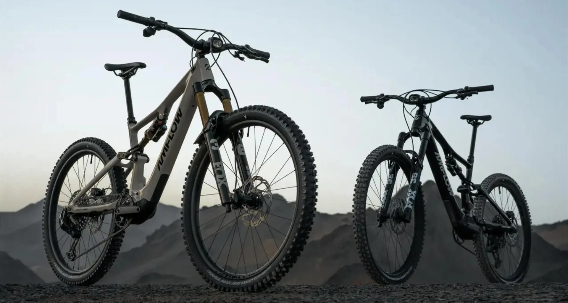 bicicletas Amflow PX