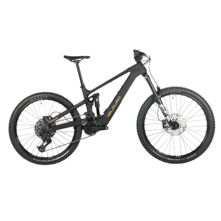 VELDURO ROGUE X